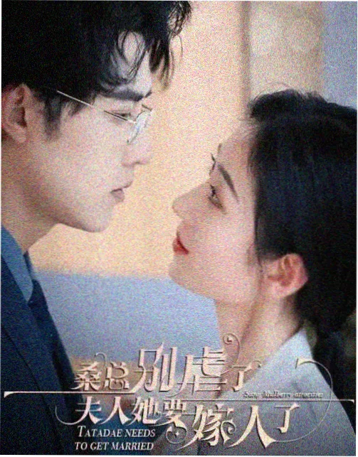 他是谁 国产免费完整高清电视剧